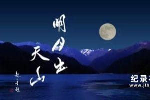 CCTV央视新疆人文风光纪录片《明月出天山》全5集 720P/1080i高清纪录片资源百度云盘下载