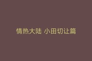 情热大陆 小田切让篇