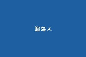追鸟人