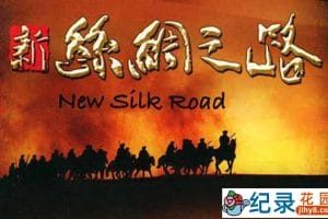 CCTV央视历史人文纪录片《新丝绸之路 New Silkroad 2006》全11集 720P/1080i高清纪录片资源百度云盘下载