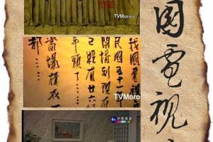 [公视] 中国电视史 中國電視史 / China TV History-纪录片资源1080P/720P/360P高清标清网盘迅雷下载