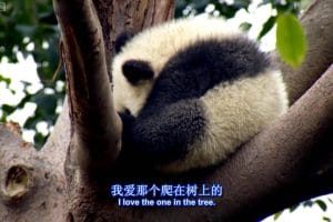 发现中国：美食之旅 Exploring China: A Culinary Adventure