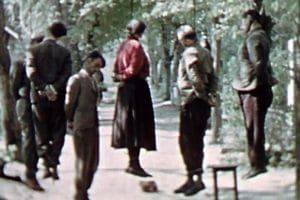 我们的父辈——纪录片 Unsere Mütter, unsere Väter – Die Dokumentation