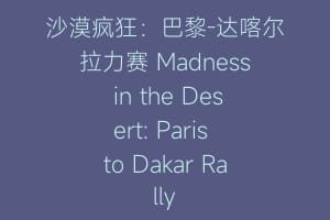 沙漠疯狂：巴黎-达喀尔拉力赛 Madness in the Desert: Paris to Dakar Rally