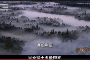 金砖之国
