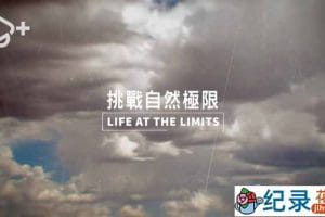 PTS公视自然生态纪录片《生态全纪录：挑战自然极限 Life At The Limits》全3集中字 720P/1080i高清纪录片资源百度云盘下载
