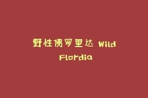 野性佛罗里达 Wild Flordia
