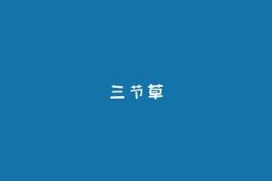 三节草