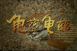 龟兹·龟兹