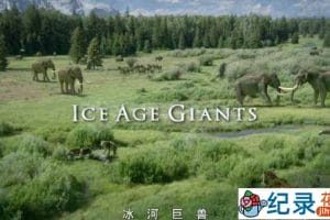 BBC史前生物纪录片《冰河巨兽 Ice Age Giants》全3集 TS/蓝光高清纪录片百度云下载