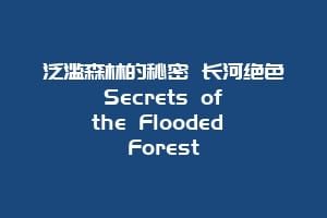 泛滥森林的秘密 长河绝色 Secrets of the Flooded Forest