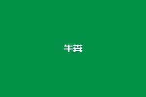 牛粪