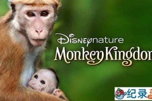 迪士尼自然生物纪录片《猴子王国 Monkey Kingdom 2015》全1集 720P/1080i高清纪录片资源百度云盘下载