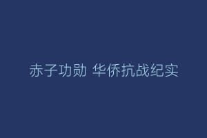 赤子功勋 华侨抗战纪实