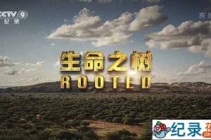 央视野生植物纪录片《生命之树 Rooted》全5集 TS/蓝光高清纪录片资源百度云盘下载