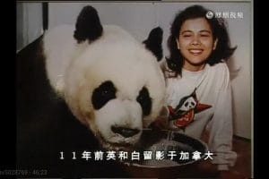 英和白
