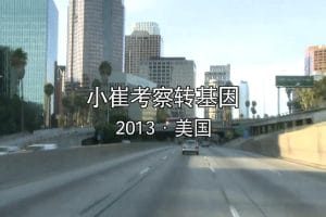 小崔考察转基因