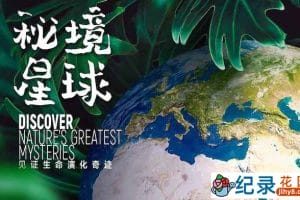 生命演化纪录片《秘境星球 Mysterious Plane》全5集 720P/1080i高清纪录片资源百度云盘下载