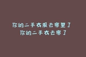 你的二手衣服去哪里了 你的二手衣去哪了