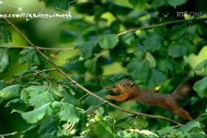香农秘境 The Secret Life of the Shannon