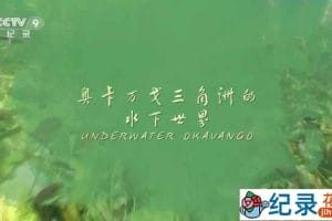 央视自然生态纪录片《奥卡万戈三角洲的水下世界 Underwater Okavango》全1集 TS/蓝光高清纪录片资源百度云盘下载