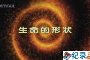CCTV央视纪录片《生命的形状 Shape of Life》全8集720P/1080i高清纪录片百度云
