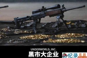国家地理非法贸易现状纪录片《黑市大企业 Underworld Inc》第1季中字 1080P高清纪录片资源百度云盘下载