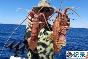 探索频道捕捞纪录片《恶海捕龙虾 Lobstermen》全5集 标清纪录片资源百度云盘下载