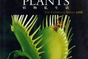 植物私生活 The Private Life of Plants