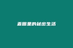 麦田里的秘密生活
