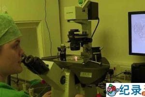 BBC不孕不育治疗纪录片《婴儿制造者：生育诊所 Baby Makers The Fertility Clinic》全1集 标清纪录片资源百度云盘下载