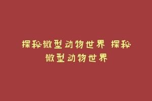 探秘微型动物世界 探秘微型动物世界