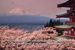 海啸与樱花 The Tsunami and the Cherry Blossom