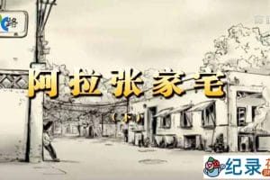 NHK社会人文纪录片《阿拉张家宅》全2集中字 1080P纪录片资源百度云盘下载
