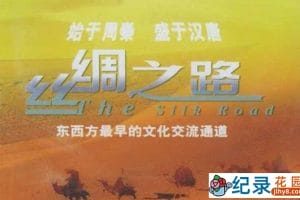 CCTV央视人文地理纪录片《丝绸之路 The Silk Road 1980》全14集 标清纪录片资源百度云盘下载