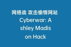网络战 攻击偷情网站 Cyberwar: Ashley Madison Hack