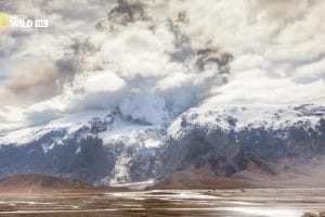 北欧野生风情录 Nordic Wild