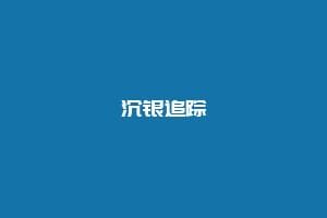 沉银追踪