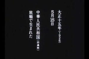 全身小说家 全身小説家
