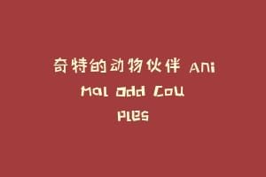 奇特的动物伙伴 Animal Odd Couples