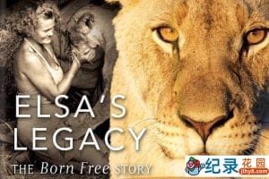 PBS人与动物纪录片《艾尔莎的遗产：生而自由的故事 Elsa’s Legacy: The Born Free Story》全1集 720P/1080i高清纪录片资源百度云盘下载