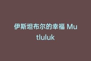 伊斯坦布尔的幸福 Mutluluk