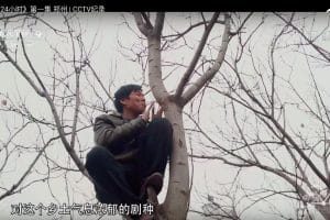 城市24小时 24 Hours In the City