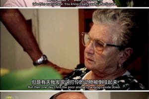贪嘴意大利 第一季 Two Greedy Italians Season 1