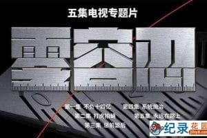反腐纪录片《零容忍》全5集 1080P高清纪录片资源百度云盘下载