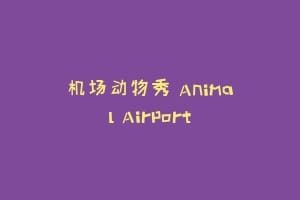机场动物秀 Animal Airport
