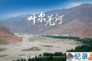 水文纪录片《叶尔羌河》全3集 720P/1080i高清纪录片资源百度云盘下载
