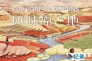 美食纪录片《风味原产地 云南》全10集 720P/1080i高清纪录片资源百度云盘下载