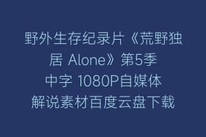 野外生存纪录片《荒野独居 Alone》第5季中字 1080P自媒体解说素材百度云盘下载