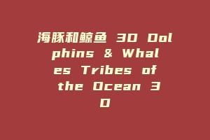 海豚和鲸鱼 3D Dolphins & Whales Tribes of the Ocean 3D